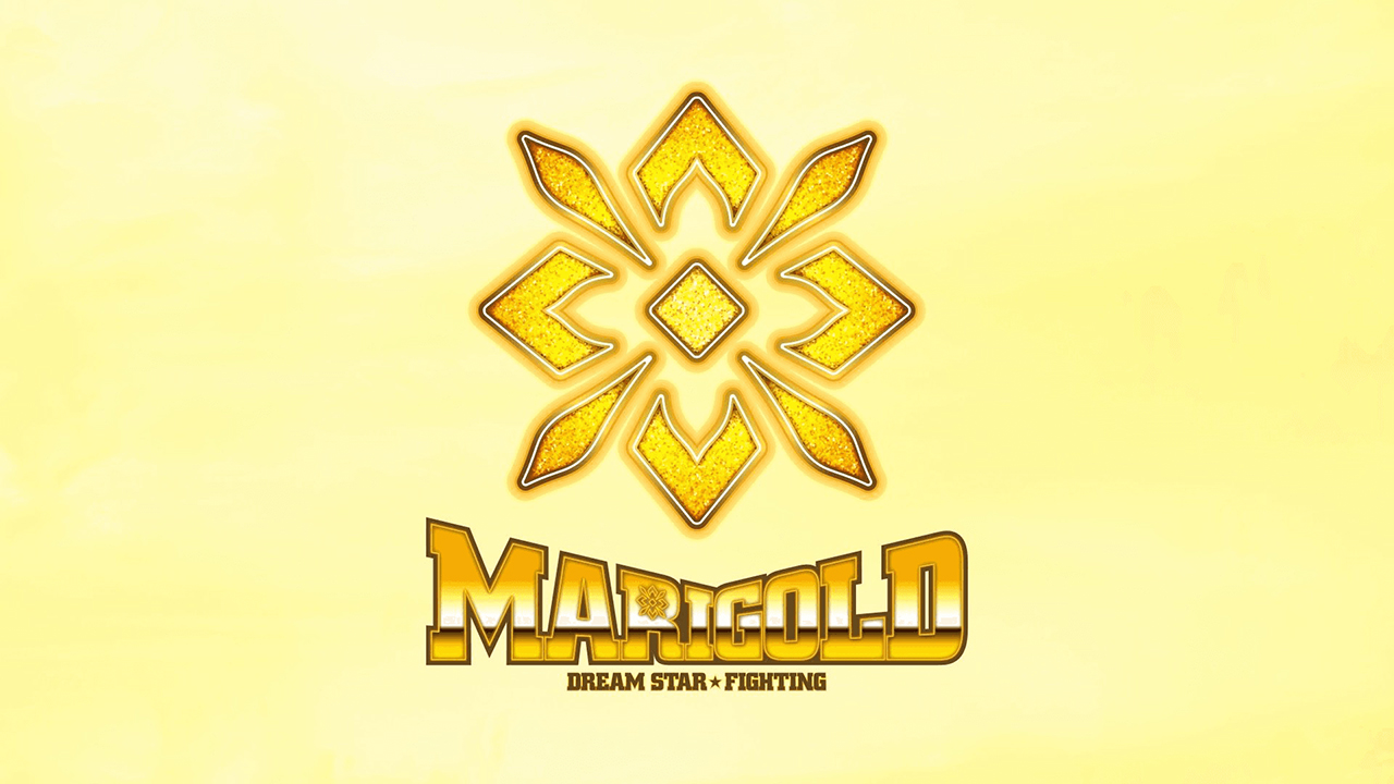 Marigold backgound