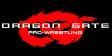 Dragon Gate Network Logo