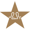 Pakistan Cricket logo