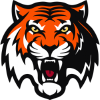 Amur Khabarovsk logo