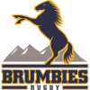 ACT Brumbies logo