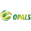 Australia Basketball Women logo