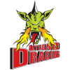 Artland Dragons logo