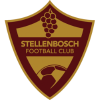 Stellenbosch logo
