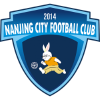 Nanjing City logo