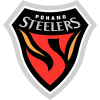 Pohang Steelers logo