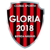 CS Gloria Bistrița Women logo