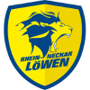 Rhein-Neckar Löwen logo