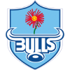 Bulls logo