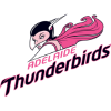 Adelaide Thunderbirds logo