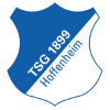 Hoffenheim logo