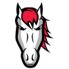 Leicester Riders logo
