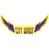 Ho Chi Minh City Wings logo