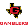 Houston Gamblers logo