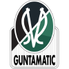 SV Ried logo
