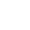Stormers logo