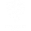 Somerset t20 logo