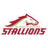 Birmingham Stallions logo