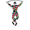 Harlequins logo