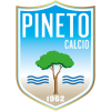 Pineto logo