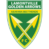 Golden Arrows logo