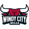 Windy City Bulls logo