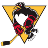 Wilkes-Barre Scranton Penguins logo