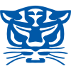 Birmingham Panthers logo