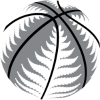 New Zealand Basketball Women logo