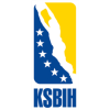 Bosnia-Herzegovina Basketball logo