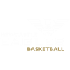 Newcastle Eagles logo