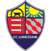 Lumezzane logo