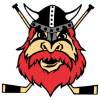 Nybro Vikings logo