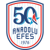 Anadolu Efes SK logo