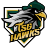 TSG Hawks logo