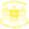 Gloucestershire t20 logo