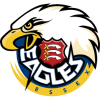 Essex Eagles logo