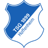 1899 Hoffenheim Women logo