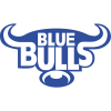 Blue Bulls logo