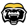 Brampton Honey Badgers logo