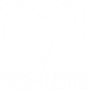 Ospreys logo
